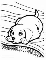 Coloring Puppy Pages Kids Puppies Dog Printable Colouring Choose Board sketch template