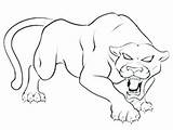 Florida Panther Coloring Getdrawings Getcolorings Pages sketch template