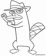 Coloring Pages Platypus Perry Ferb Phineas Printable Popular Library Comments Coloringhome sketch template