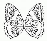 Schmetterling Malvorlagen1001 sketch template