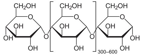 amidon de mais pregelatinise unipex