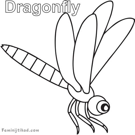 printable coloring page dragonfly printable dragonfly coloring pages