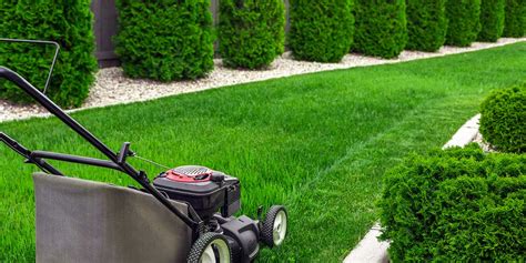 honda harmony  lawn mower price years  review hr