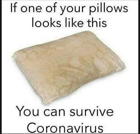 immunity     survival funny memes pillows