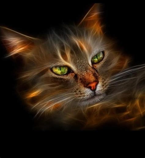 Top 181 Ideas About Fractal Cats On Pinterest Cats Fractal Images