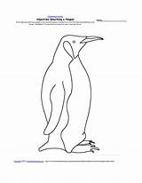 Penguin Pingouin Penguins Coloriages sketch template