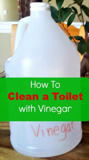 clean  toilet  vinegar