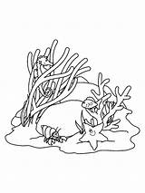 Seaweed Coloring Pages Printable Print sketch template