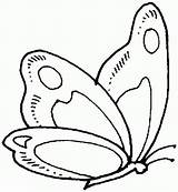 Farfalle Farfalla Vola Bellissime Annusa Mentre sketch template