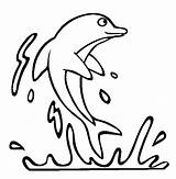 Dolphin Coloring Pages Dolphins Color Print Drawing sketch template