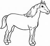 Colorir Cavalo Cavalos Imprimir sketch template