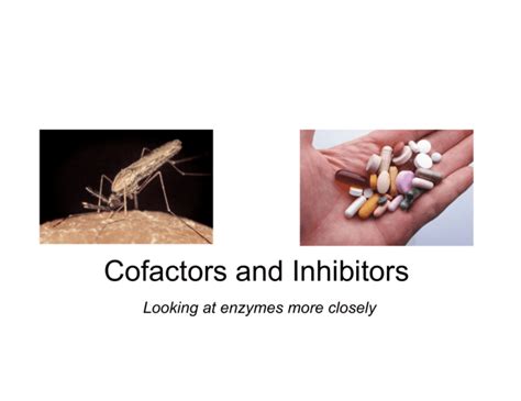 cofactors  inhibitors