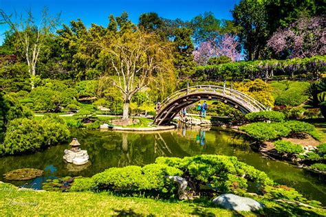 huntington library art collections botanical gardens los angeles usa attractions lonely