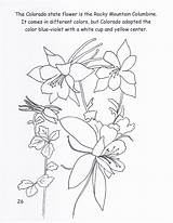 Colorado Columbine Coloring Blue Flower State Color Rocky Mountain 06kb 1600px 1236 sketch template