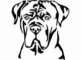 Corso Cane Dog Mastiff Clip Italian Drawing Logo Svg Stencil Vector Line Chien Coloring Etsy Noir Breed Puppy Clipart Hound sketch template