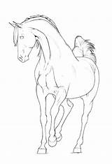 Arabian Stallion Konie Lineart Kolorowanki Schleich Druku sketch template