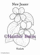 Violet Flower Coloring Jersey State Getcolorings Getdrawings Color Colorings sketch template