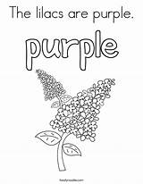 Purple Coloring Lilacs Pages sketch template