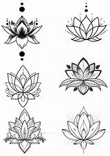 Lotus Loto Tatuaje Dibujo Silueta Tatuar Blume Mandalas Lotto Simplistas Falsos Indios Tatoeage Pequeño Manhunter Ontwerpen Uzunerinsaat Depuis sketch template