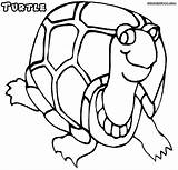 Turtle Coloring Pages Coloringway Mom sketch template