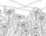 Coloring Pages Flowers Spring Adult Field Printable Blooming sketch template