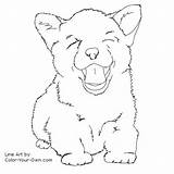 Corgi Fluffy K9 Adult Pembroke Merle Sheets Wolves Mydogs sketch template
