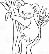 Koala Coloring Pages Printable Drawing Cute Bear Kids Baby Color Getdrawings Doodle Print sketch template