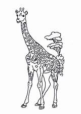 Girafe Petits Hugolescargot sketch template