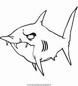 Squali Squalo Shark Sharks Disegnidacoloraregratis sketch template