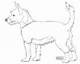 Coloring Wild Pages Dog Dogs Getcolorings Color Printable sketch template
