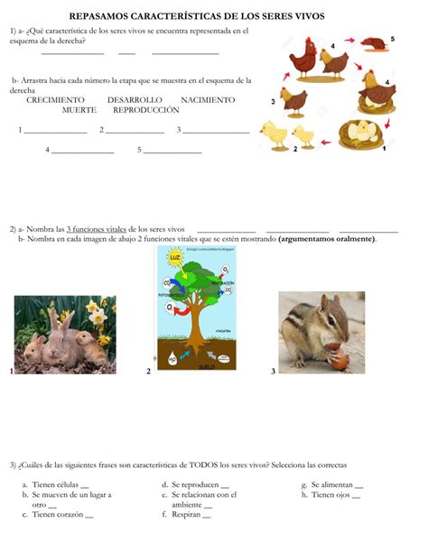 ficha de características de los seres vivos