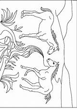 Tegninger Heste Colorat Planse Hest Gradinita Sparet Tjent åbner Vil Klikker Bedste Vindue Herunder Farvelægge Blot Af sketch template