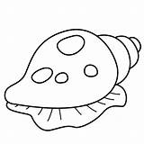 Colouring Shells Sea Clipart Coloring Shell Drawing Pages Cliparts Urchin Fish Clipartmag sketch template