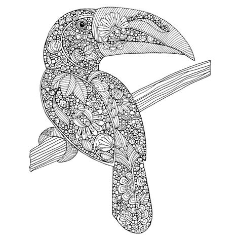 toucan coloring page printable