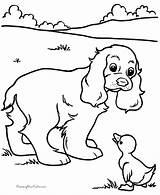 Coloring Pages Printable Kids Kid Color Puppy Print Sheets Duck Dog Cocker Paint Spaniel Clipart Printing Book Worksheets Library Puppies sketch template