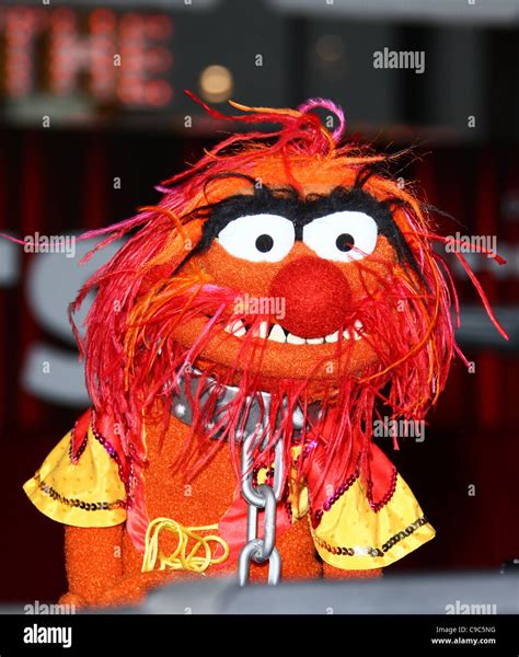 muppet animal  res stock photography  images alamy