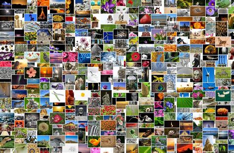 las mejores apps  crear collages en android