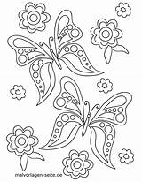 Blumen Malvorlage Schmetterling Schmetterlinge Malvorlagen Kostenlos Großformat sketch template