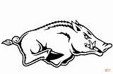 Razorback Arkansas Razorbacks Coloring Boar Drawing Svg Wild Pages Outline Logo Printable Ar  Head Clip Clipart Digital Stencil Cliparts sketch template
