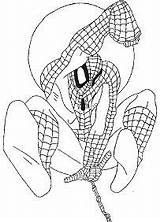 Spiderman Pages Baby Spider Man Coloring sketch template