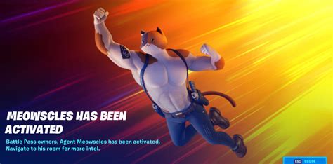 complete meowscles mischief challenges  fortnite dot esports