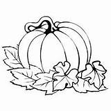 Pumpkin Calabaza Calabazas Coloring Momjunction Herbst Ausdrucken Malvorlagen sketch template
