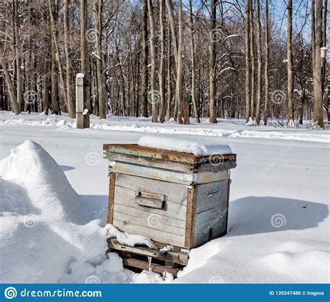 bijenkorf  de bijenstal  de winter zware vorst stock foto image  zwaar vers