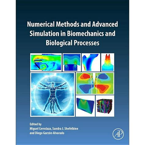 numerical methods  advanced simulation  biomechanics