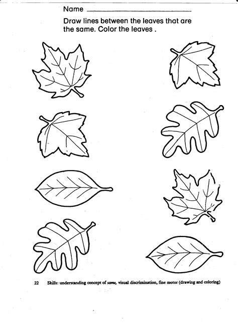 fall pattern worksheet  kindergarten