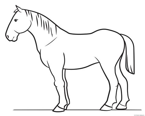 horse drawing simple  art illustrations