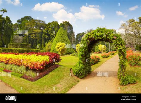 sri lanka kandy peradeniya botanic garden stock photo alamy