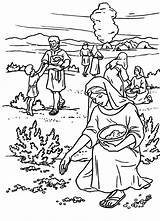 Moses Manna Isaac Rebeca Quail Exodus Mana Moises Recogiendo Pueblos Septiembre Infantil Wilderness Lessons Maná Kleurplaten Testament sketch template