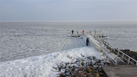 ijsselmeer  netherlands completely frozen netherlands frozen snow pets beach water