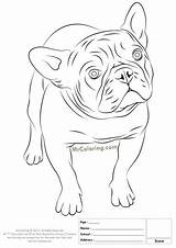 Bulldog Pages sketch template